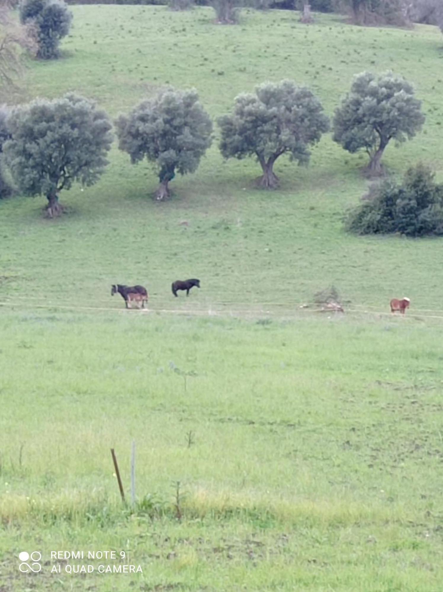 אגרופולי Lux Vera B & B מראה חיצוני תמונה